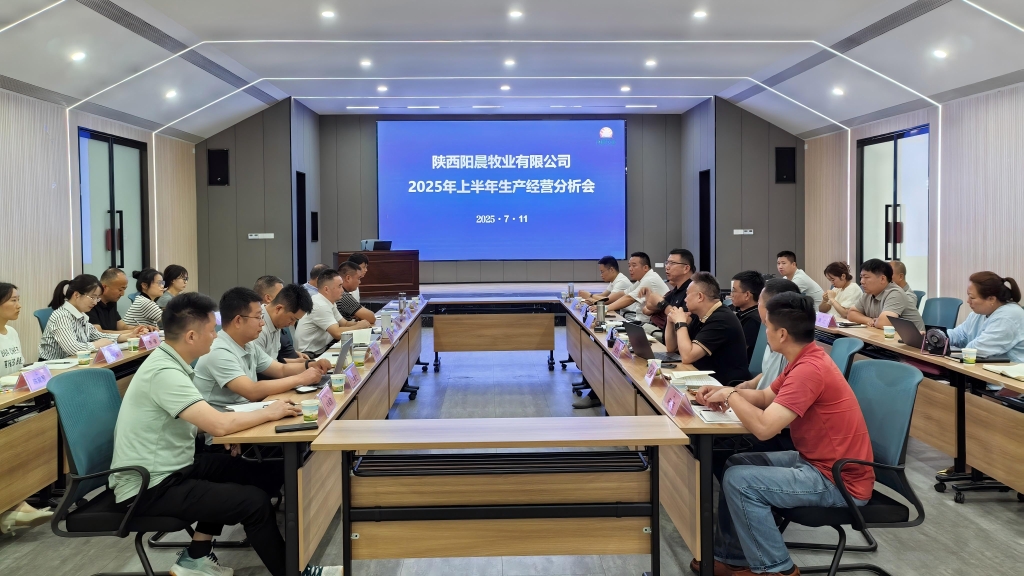 陽晨牧業(yè)召開2025年度上半年總結(jié)分析會